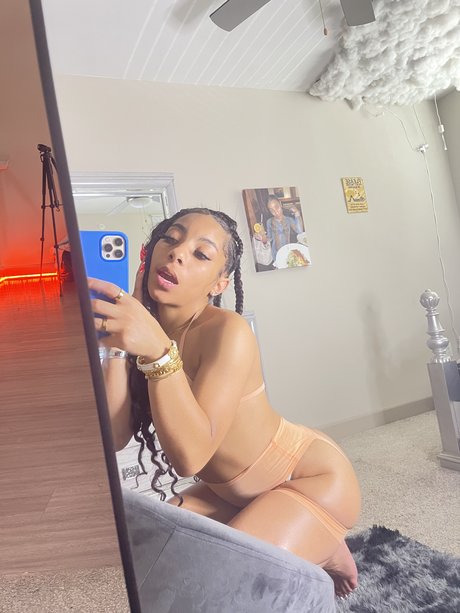 u51916243 meilleure étoile galerie