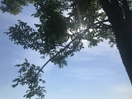 kevy belle star du porno image