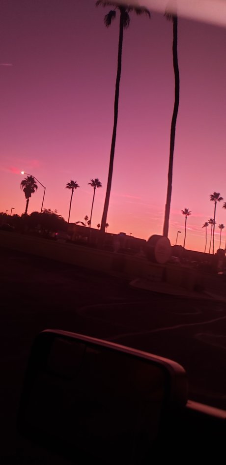 Bill Dill modèles nus photo