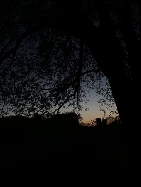 Clementine actrice hd images