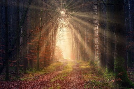 Mask Fynn haut modèle photo