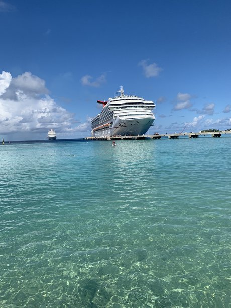 Willis jolie star du porno collection