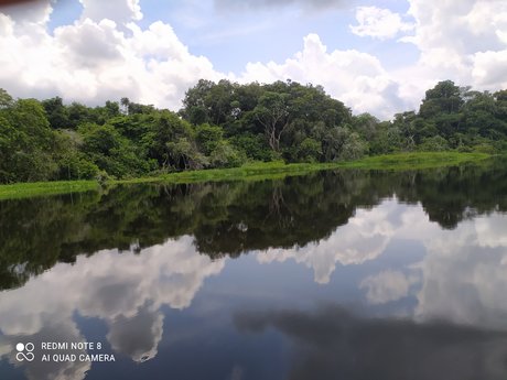 Alvaro Suarez star du porno gratuite des photos