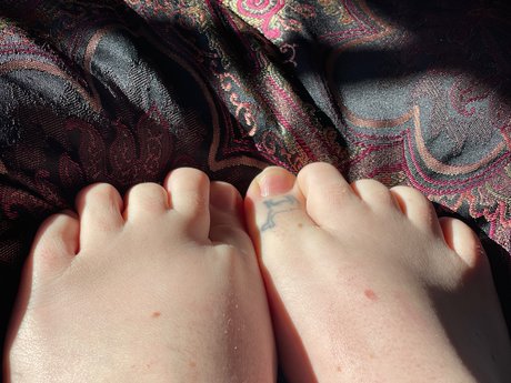 CamelToes étoile photos