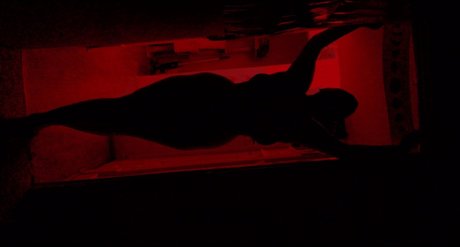 Moe Babe haut étoile galeries