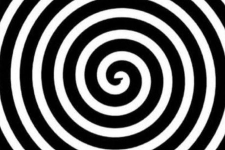 Hothoneypot modèle exclusif galerie