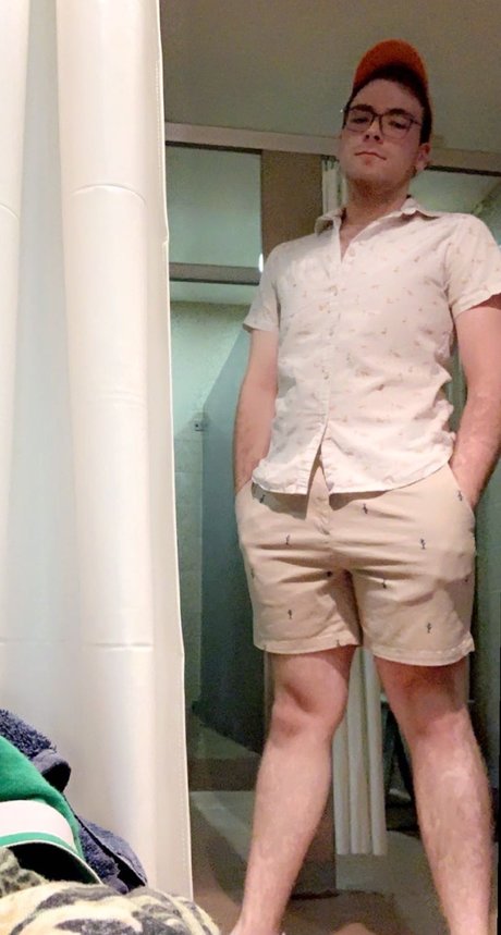 Willy D belle star du porno collection