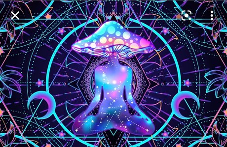 HVC star du porno gratuit des photos