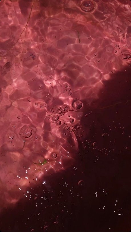 Meeky Queen star du porno gratuite galeries