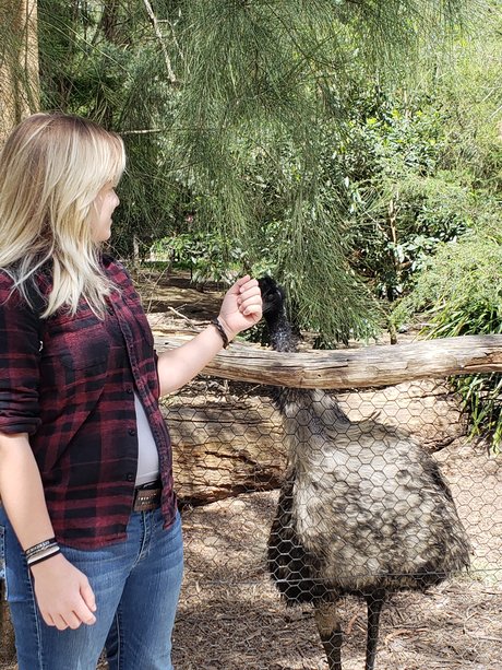 Wulf actrice érotique img