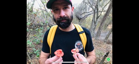 Millo star du porno nue photo