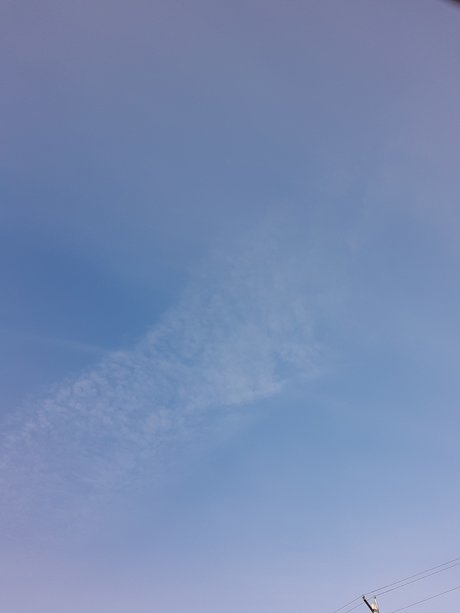 David Wilson actrice parfaite galerie