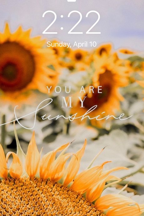 u155989845 art star du porno archive