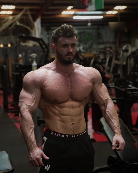 Mike Oxlong star du porno chaude collection