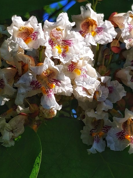 losgryfog actrice xxx galeries