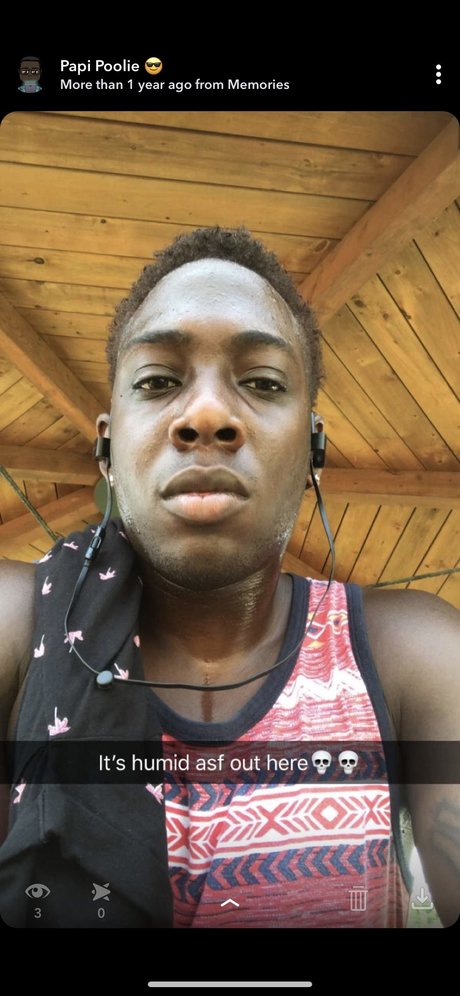 Poolie haut modèle archive