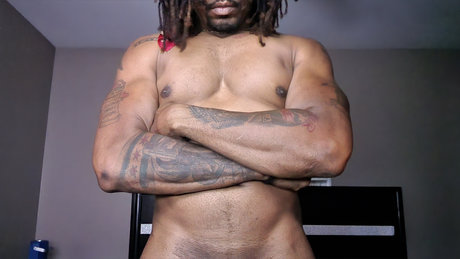 STUNTMANX étoile magnifique galeries