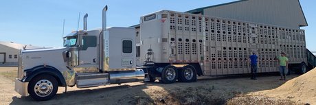 Todd Daehn art modèle galerie