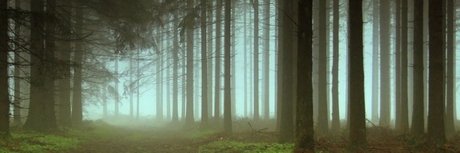 Zexion006 meilleur modèle des photos