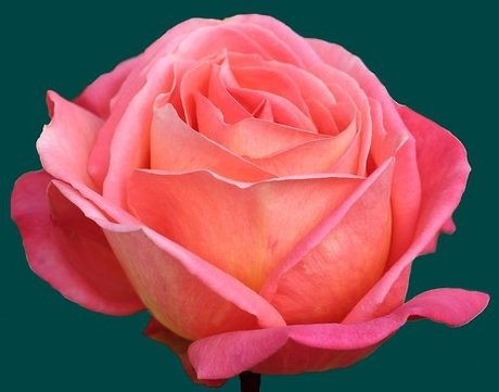 S d ct v Mistr ss modèle gratuit img