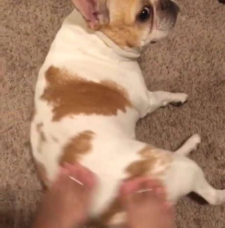 Lindabooxo art étoile archive