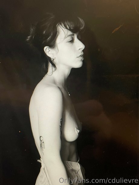 dulievre étoile chaude archive