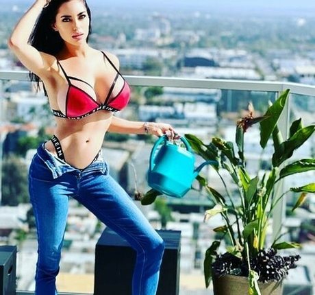 marisol yotta art étoile collection