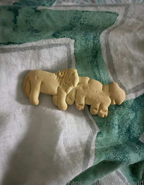 im over covid nus étoiles archive