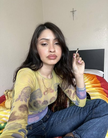 chovvder modèle pornographique collection