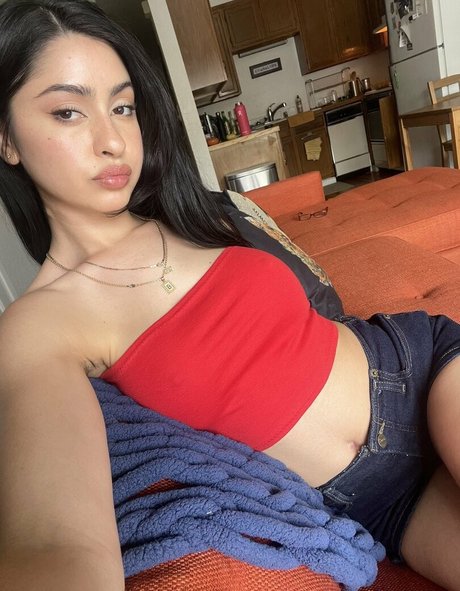 chovvder étoile parfaite image