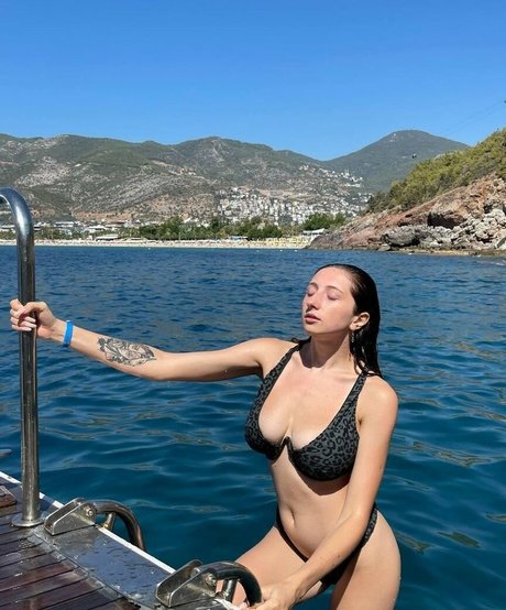 Ashley Ross star du porno xxx collection