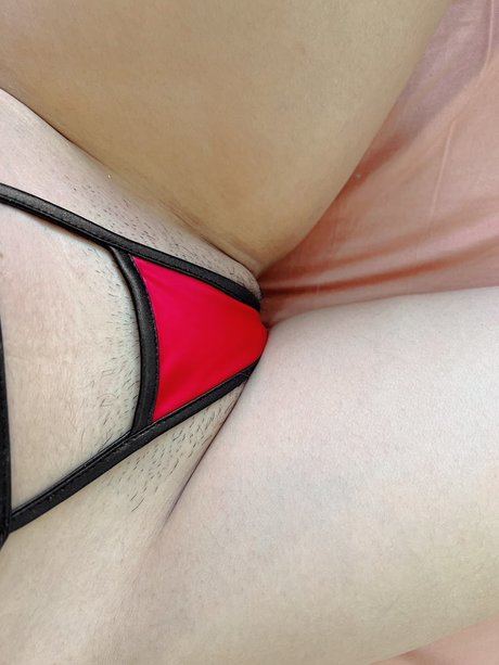 Zhang Heyu étoile gratuite galeries