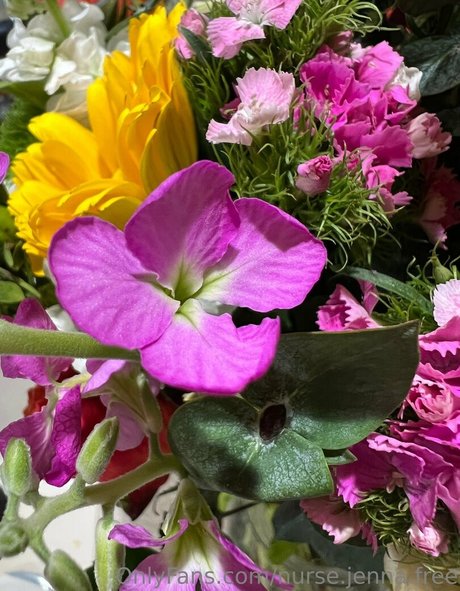 nurse jenna free étoile xxx archive