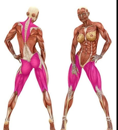 ruby wolff nus de stars du porno archive