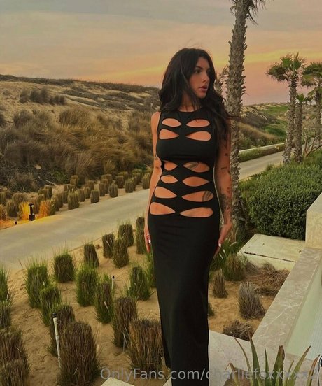 charliefoxxxxx2 modèle de haute qualité galerie