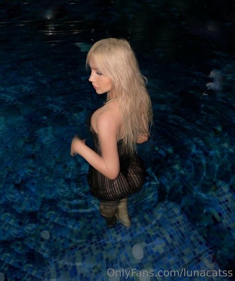 lunacatss étoile hd photos