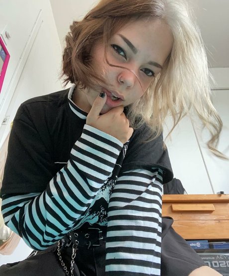 Taell haut étoile images