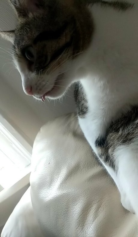 mamie gros seins onlyfans haut érotique galeries