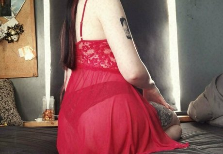 shakyxx haut de star du porno photo