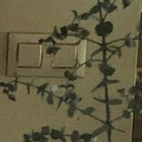 naughtybrattxo étoile adulte galerie