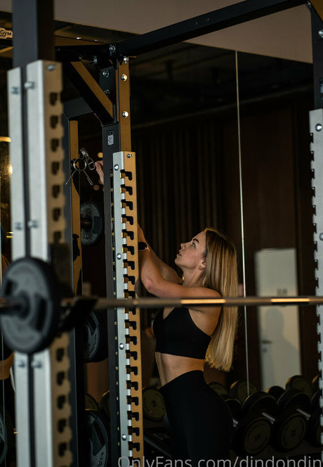 dindondin joli modèle galeries