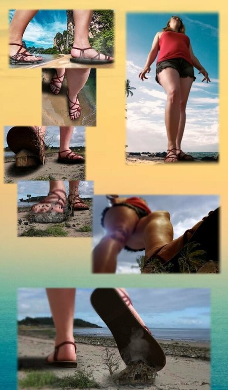 wreckinbecca nus étoiles collection