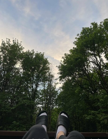 marstonhefner Profilfoto