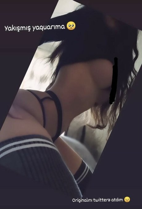 GymFoxFi star du porno gratuit img