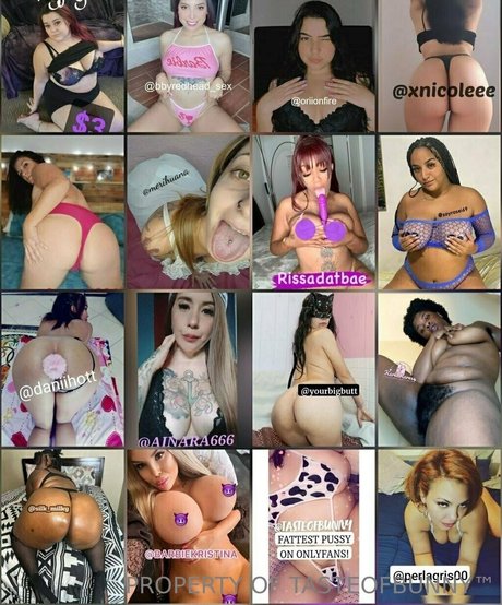 tasteofbunny modèle collection