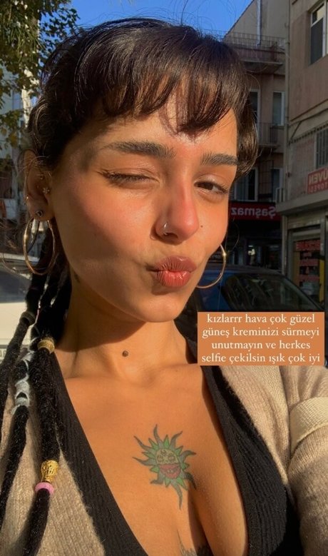 Ciciguner art de star du porno img