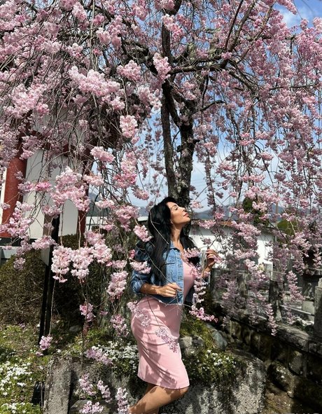 farrahabraham étoile xxx galeries