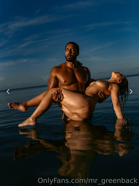 mr greenback sexe star archive