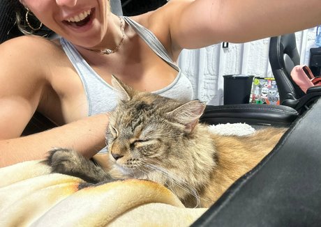 raynaroseetv modèle hd collection