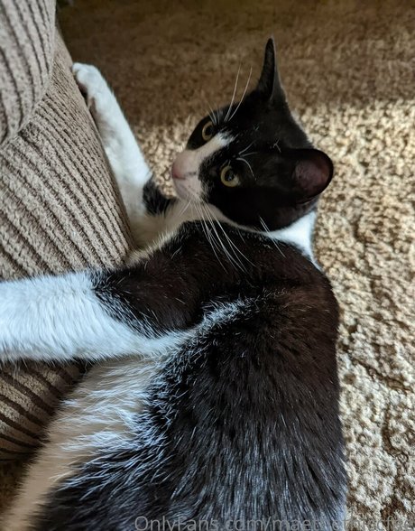 gros seins maigres onlyfans nu en haute qualité images